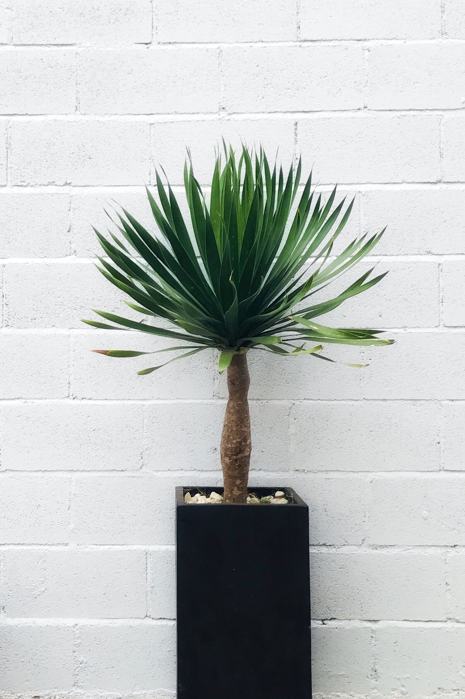 UNIZ Thiết kế kiến trúc nội thất Buôn Ma Thuột. Nội thất căn hộ, nhà phố, biệt thự.